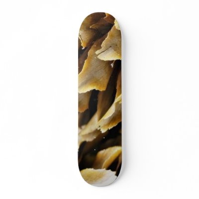 Close Up Image Of A Cone Skate Deck by lifesphere