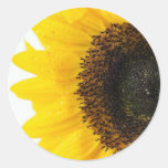Close Up Image Of Sunflower Stickers