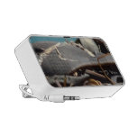 Close Up Kelp Doodle speakers