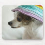 Close-up of a Chihuahua wearing a hat Mousepads
