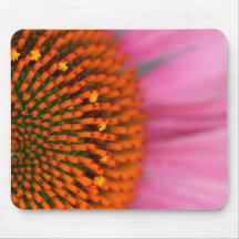 Close-up of a Cone Flower in the summertime, Mousepads