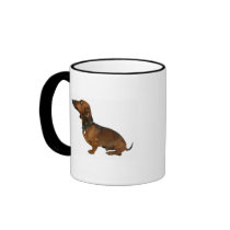 Close up of a dachshund