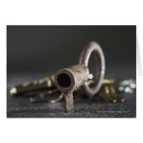 Close-up of a key in a key ring cards