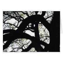 Close up of bare tree branches. card