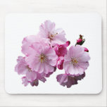 Close Up of Cherry Blossoms Mouse Pads