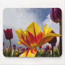 Close Up of Colourful Blooming Tulips In Oregon Mouse Pad