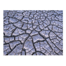 Close Up of Cracked Mud in an Arid Landscape Post Cards