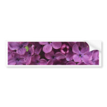 close up of dark purple lilac bumper sticker