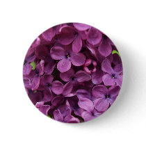 close up of dark purple lilac pin