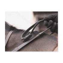close-up of hand holding reins of horse post cards