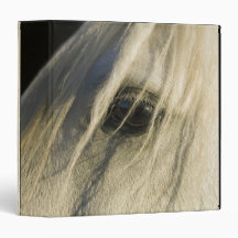 Close-up of Horse eye 3 Ring Binder