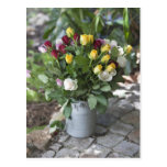 Close-up of multi-coloured roses postcards