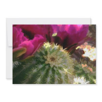Close Up of Pink Cactus Flowers