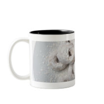 Close-up of powdered doughnuts in a plate coffee mugs
