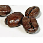 Close Up Of Some Unground Coffee Beans Photo Sculpture