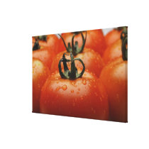 Close-up of tomatoes 2 canvas prints