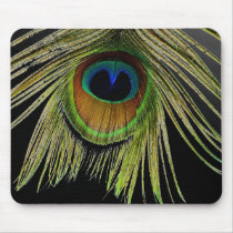 Close Up Peacock Feather Mousepad