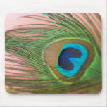 Close up Peacock Feather with Pink Mouse Pads