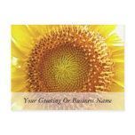 Close Up Peek into the Face of a Sunflower Post Card