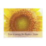 Close Up Peek into the Face of a Sunflower Post Card