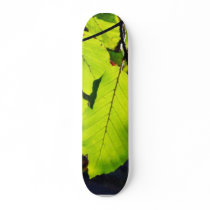 Close Up Photo Of Beech Leaves Skateboards