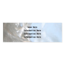 Close up Photo. Picture of a Seashell. Business Card