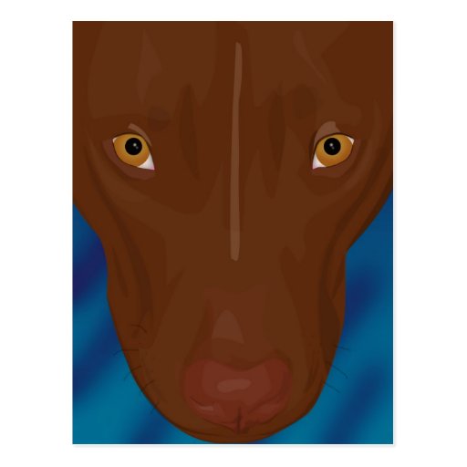 Close Up Portrait of Pit Bull - Digital Art Post Card