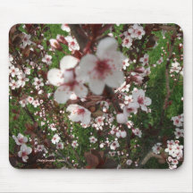 Close-up Sandcherry Tree Mousepad