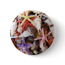 Close Up Sea Shell ans Starfish Photos Pin