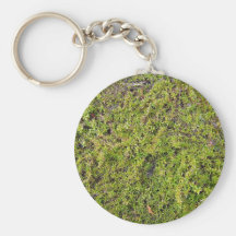 Close-up shot of a hedge key chains