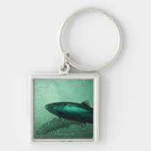 Close up shot of salmon running 2 key chain