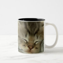 Close-up Sleeping Kitten Mug