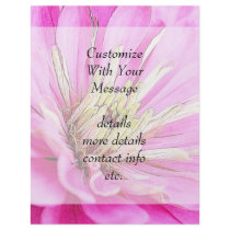 Close-up view of a delicate pink zinnia