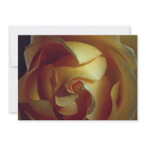 Close-up view of soft yellow rose personalized invite