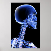 Close up x-ray of the bones in the neck print