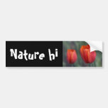 closer still bumper sticker