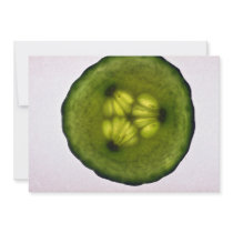 Closer  view of Cucumber slice Invite