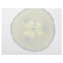 Closer  view of Cucumber slice Personalized Letterhead