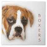 Closeup of a Boxer Dog Tile Trivet