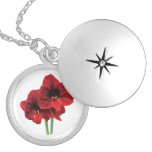 Closeup of Red Amaryllis Personalized Necklace