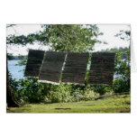Clothesline Greeting Cards