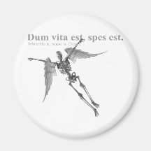 Clothing for teenagers and adults with Latin quote Fridge Magnets