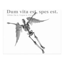 Clothing for teenagers and adults with Latin quote Post Card