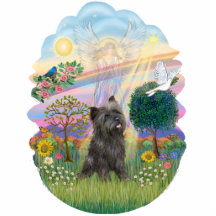 Cloud Angel - Brindle Cairn Terrier #21 Acrylic Cut Out