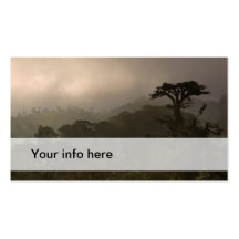 Cloud forest business card