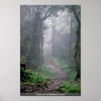 Cloud forest, Mt. Kilimanjaro, Tanzania Poster