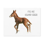 Cloud Nine Postcard