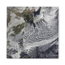 Cloud simulation of a single day 4 magnet