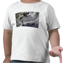 Cloud simulation of a single day 4 t-shirts