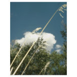 CLOUDS AND GRASS LETTERHEAD DESIGN